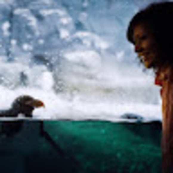 Meet your Posher, Alanna - Picture 1 of 1